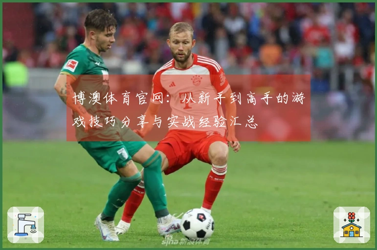 博澳体育官网：从新手到高手的游戏技巧分享与实战经验汇总